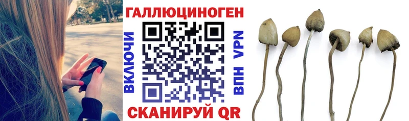 Псилоцибиновые грибы Magic Shrooms  Прокопьевск 